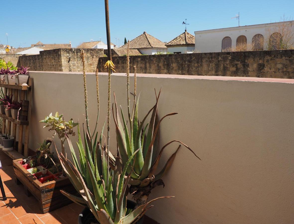 Apartamento En Juderia La Murallita Córdoba Buitenkant foto